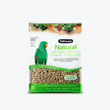 Bird food & treats